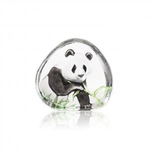 Målerås Glasblock Wildlife Panda, Målad 12,5x12 cm