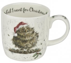 Wrendale Mugg Owl I want for Christmas owl Uggla