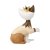 Goebel RW Katt Gina la principessa L.E 12 cm