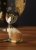 Goebel RW Katt Gina la principessa L.E 12 cm