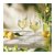 Ritzenhoff Sommertau Limoncello 2-pack