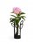 Klong Fanny vas svart liten 33 cm