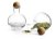 Sagaform Nature serveringsset för kryddor och salt med ekkork, 2-pack 20 cl