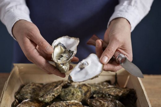 Opinel Outdoor Ostronkniv No.9 6,5cm