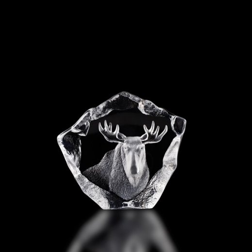 Målerås Glasblock Älg Wildlife 15,5x14 cm