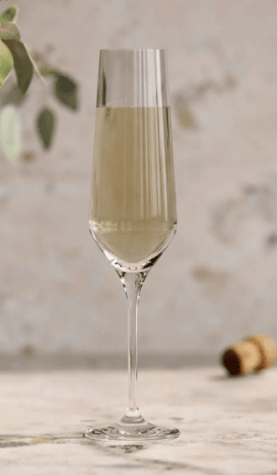 Eva Solo Legio Nova Champagneglas 6-pack 26 cl