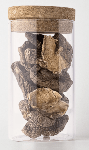 Rivsalt™ Umami Torkad Shiitakesvamp i Glascylinder