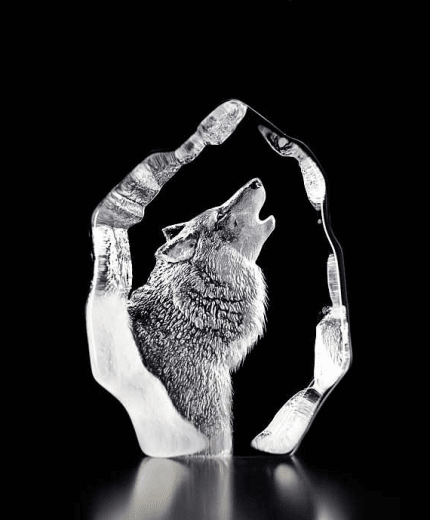 Målerås Glasblock Varg Wildlife 9x12 cm