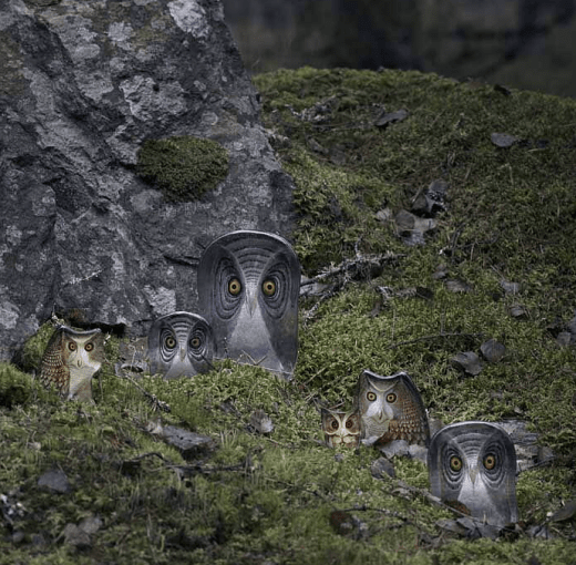 Målerås Glasblock Uggla Wildlife Mellan, Målad 10,5x13,5